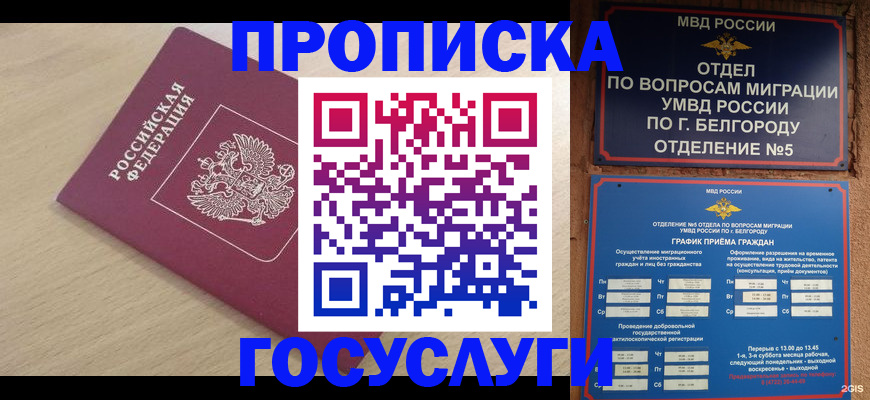 прописка законно в Майкопе